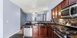 4917 Ruben Soto Gallery 17