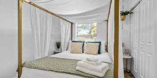 Modern 4BR South Tampa Home | Yard | Near the Bay Gallery 12