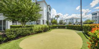 Peridot Palms Gallery 41