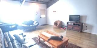 Charming 3BR tri-plex in Cookson Gallery 1