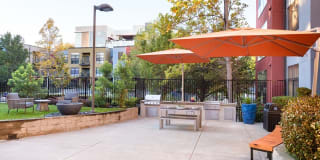 Fremont Mews Gallery 11