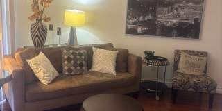 Meridian - Luxury 1Bdr/Bath Fully Furnished (Utilities Included) Meridian - Luxury 1Bdr/Bath Fully Furnished (Utilities Included) Gallery 1