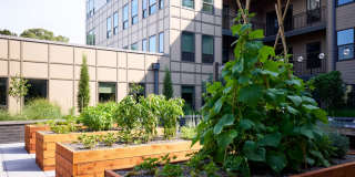 Broad & Washington Gallery 25