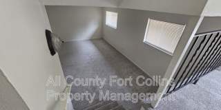 4406 Hummingbird Dr Gallery 5