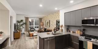 Orlo & Alba Gallery 42