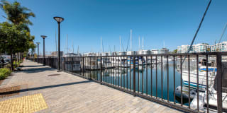 Harborside Marina Bay Gallery 24