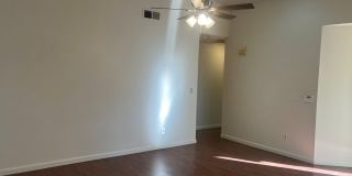 Cute and Clean! Gallery 6
