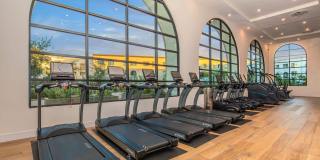 Vineyards Gallery 22