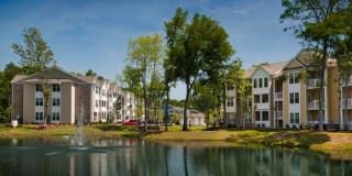 Element Carolina Bay Element Carolina Bay Gallery 48