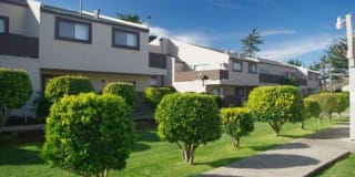 Shoreline Apartments Gallery 9