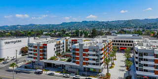 Citrus Commons Gallery 41