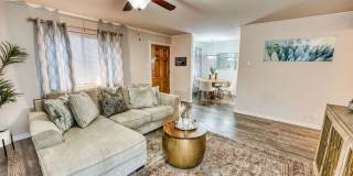 Juniper Springs Gallery 38