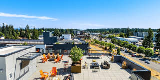 Ion Town Center Gallery 16