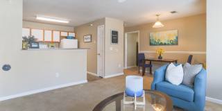 Waterbrook Gallery 6