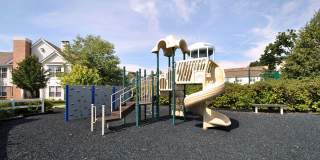 The Chapman Gallery 42