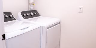 The Moxie Gallery 26