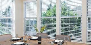 Savannah Place Gallery 3