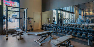 Library Park Apartment Gallery 5