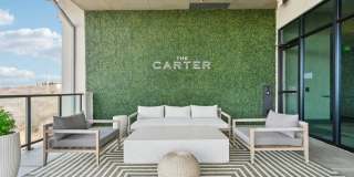 The Carter Gallery 22
