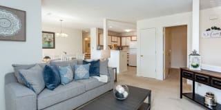 Treybrooke Apartments Gallery 13