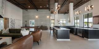 Allaso Olivine Gallery 3