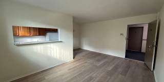 Gross Street Gallery 11