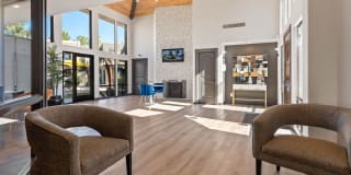 The Bella Gallery 12