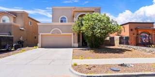 3148 BLUE DIRT Gallery 1