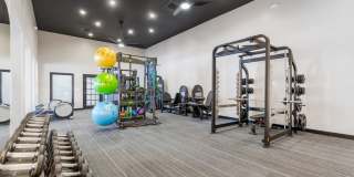 Regent's Park Gallery 30