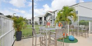 Aventura Orlando Apartments Gallery 8