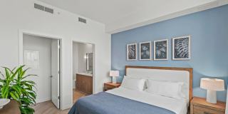 Veneto Las Olas Gallery 19