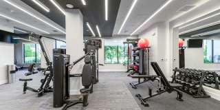 Mosaic Palms Gallery 10