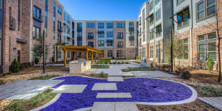 Cole Park Gallery 38
