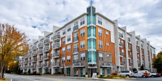 The Exchange Gallery 25