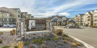 Concord at Geneva Gallery 24