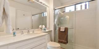 54838 Oak Tree Gallery 29