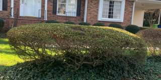 NORTH HILLS CHARMER--2 STORY--DOWNSTAIRS BEDROOM/OFFICE--FORMAL AREAS-LAUNDRY/MUD AREA-CARPORT Gallery 1