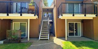 Saybrook Condo! 1 Bed/1 Bath with In-Unit Washer & Dryer & Covered Patio! Gallery 1