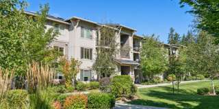 Vue Issaquah Gallery 57