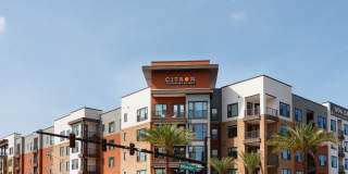 Citron at the Packing District Gallery 72