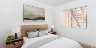 Mountain Steppes Gallery 5