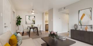 Palazzo Apartments Palazzo Apartments Gallery 1