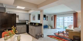 Dream Space Coast Gallery 3