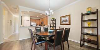 19962 BENISSIMO DRIVE Gallery 7