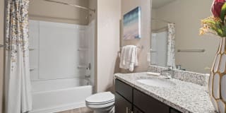 Springs at the Reserve Gallery 47