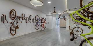 Camber Gallery 18