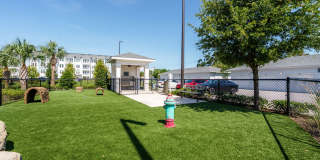 Solano Belleair Gallery 49