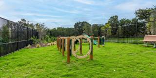 Carrington at Oak Hill Gallery 11