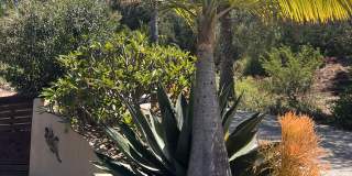 1122 Palomino Road Gallery 1