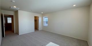9643 Babaco Gallery 15